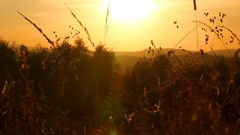 Sunset among the grass in the mountains Stock Footage 112596487