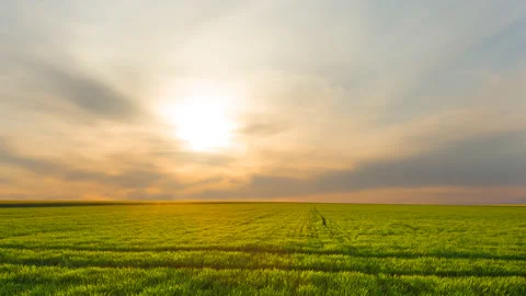 Sunset among a green fields Video stock 172347468