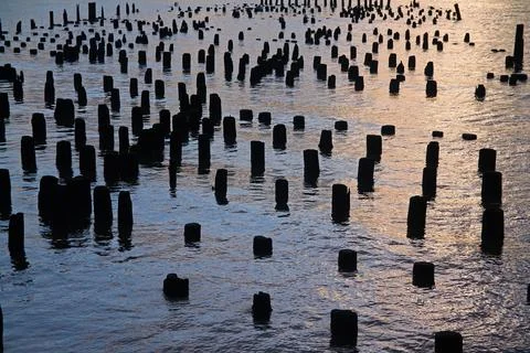 The sunset among the stakes in the river Stock Photos
