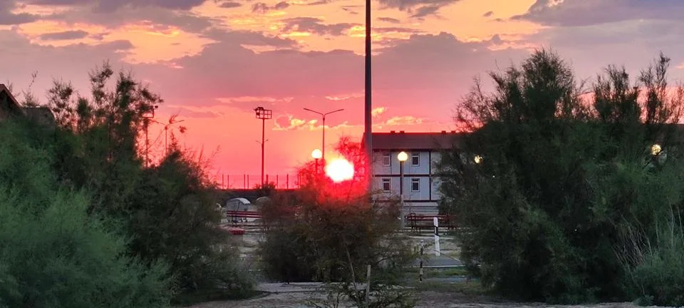 Sunset among the trees 写真素材
