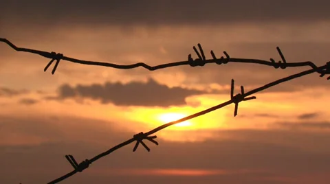Sunset and barbed wire Stock-Footage 30842729