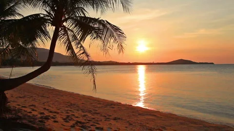 Sunset and beach with coconut palm Stock-Footage 3779457