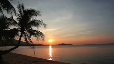 Sunset and beach with coconut palm Stock Footage 10809752