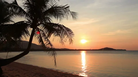Sunset and beach with coconut palm Stock Footage 41291347