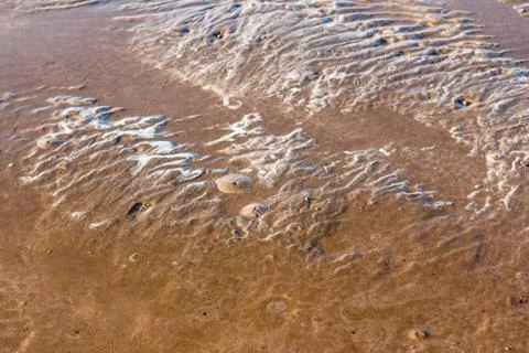 Sunset and beach Empty tropical beach background. Horizon with sky and white Stock Photos