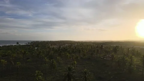 Sunset and the beach Stock Footage 145690249