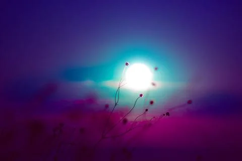Sunset and beautiful light, sunlight illuminating the colorful sky, clouds Stock Photos