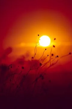 Sunset and beautiful light, sunlight illuminating the colorful sky, clouds Stock Photos