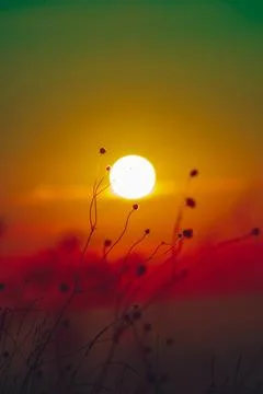 Sunset and beautiful light, sunlight illuminating the colorful sky, clouds Stock Photos