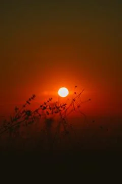 Sunset and beautiful light, sunlight illuminating the colorful sky, clouds Stock Photos