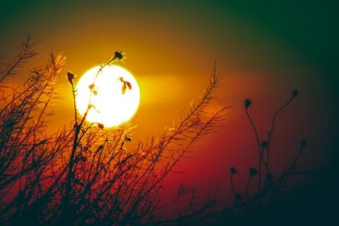 Sunset and beautiful light, sunlight illuminating the colorful sky, clouds Stock Photos
