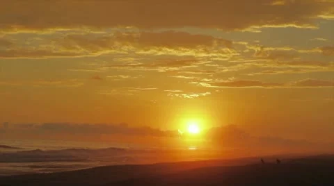 Sunset and birds Stock Footage 8945432