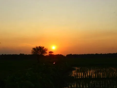 Sunset and black shadow Stock Photos
