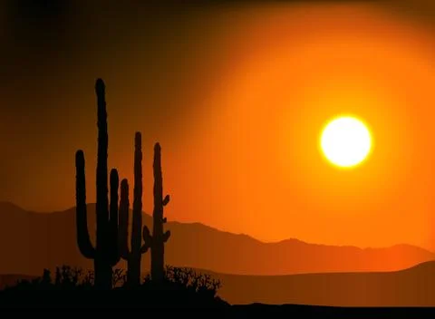 Sunset And Cactus Silhouettes Stock Illustration