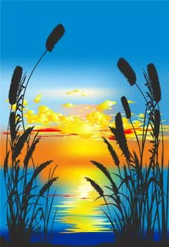 Sunset and cane Stock Illustration