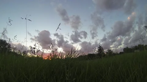 Sunset and Clouds with Blowing Grass Stock Footage 50137870