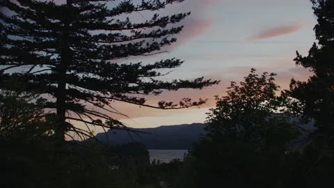 Sunset and clouds through trees - Columbia Gorge Oregon Stock Footage 234757421
