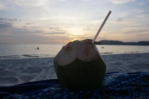 Sunset and coconut on a beach Stock Photos