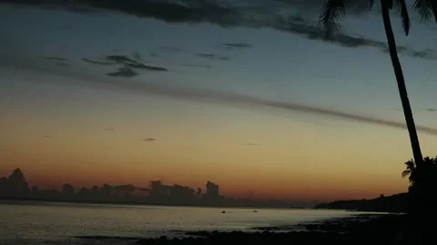 Sunset and Coconut Trees 動画素材 230632681