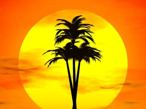 Sunset and concunut tree Stock Illustration