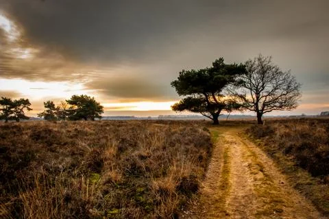 Sunset and a dramatic sky at the nature reserve "Matingerveld Foto stock