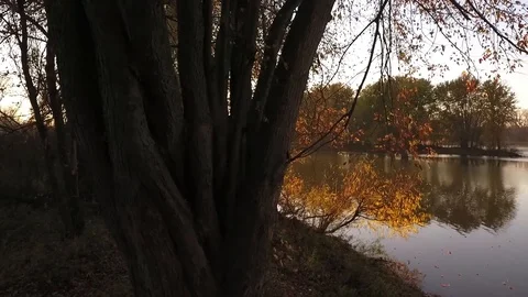 Sunset and Fall Trees and River 2 Stock-Footage 104823694