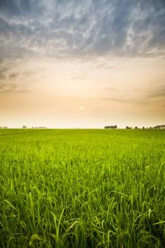 Sunset and farm Stock Photos