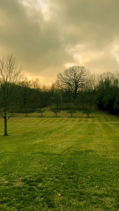 Sunset and a field Stock Footage 279523210