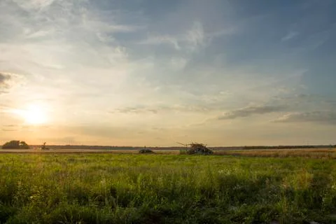 Sunset and field Stock Photos