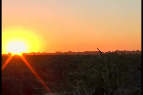 Sunset and field V2 - NTSC Stock Footage 12441267