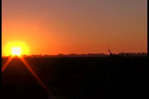 Sunset and field V3 - NTSC Stock Footage