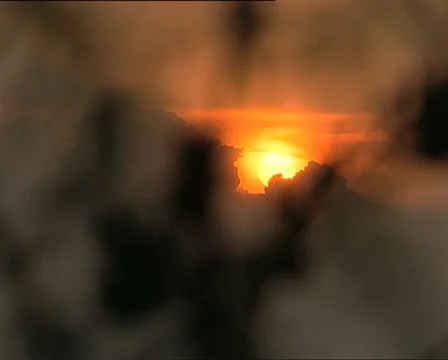 SUNSET and flowers rack focus 2 Video stock 12713632