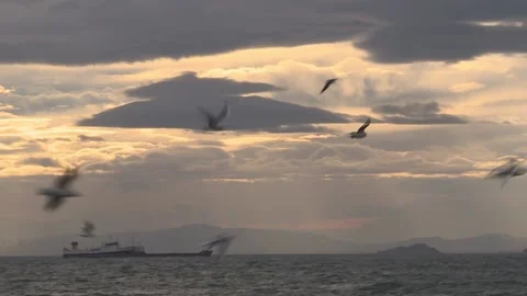 The sunset and gray sky Video stock 147022097