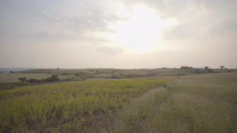 Sunset and landscape Video stock 204779709