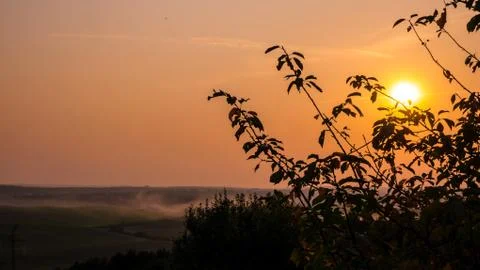 Sunset and leaves of trees Stock Photos