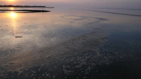 Sunset and low tide is coming 動画素材 113330495