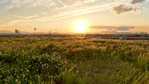 Sunset and meadow Stock Footage 242988034