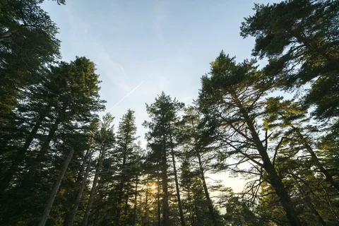 Sunset and Moonrise 스톡 동영상 115077631