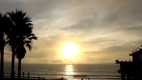 Sunset and palm trees Stock Footage 83023477