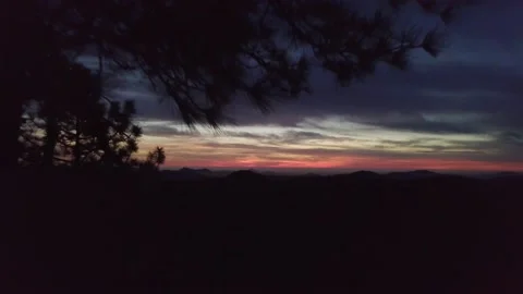 Sunset and Pine Trees Video stock 221379756