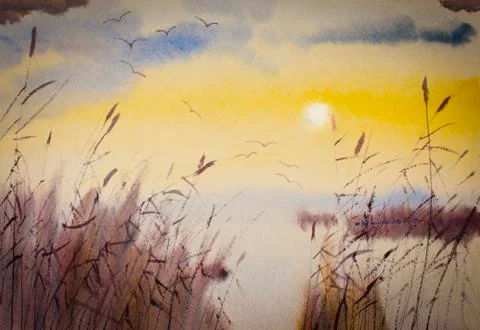 Sunset and reeds Stock Illustration