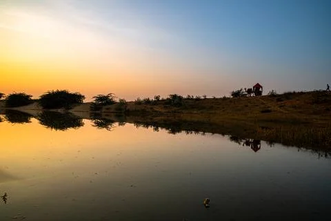 Sunset and reflection of camel at pushkar camel festival. Stock Photos