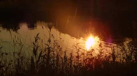 Sunset and the river Stock Footage 51905312