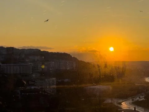Sunset and seagull Fotos Stock