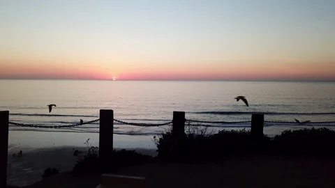 Sunset and seagulls in the last seconds of a beach sunset Stock Footage 84088985