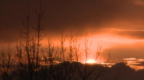 Sunset and silhouette trees Stock Footage 3621192