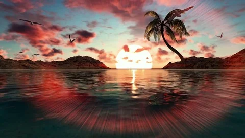 Sunset and single coconut tree on caribbean island Stock Footage 72698816