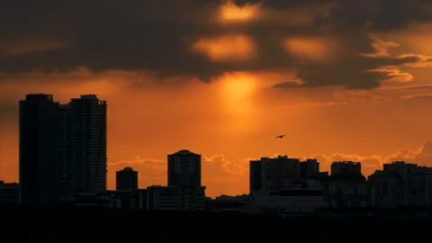 Sunset and Skyscrapers Stock Footage 332494729