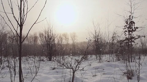 Sunset and snowfall. Stock Footage 87118768