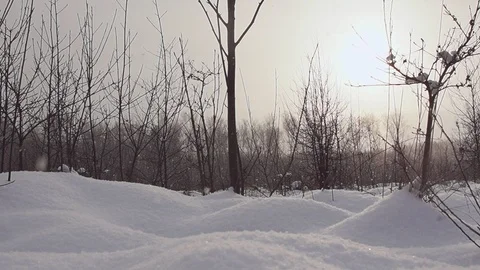 Sunset and snowfall. Stock Footage 87119031